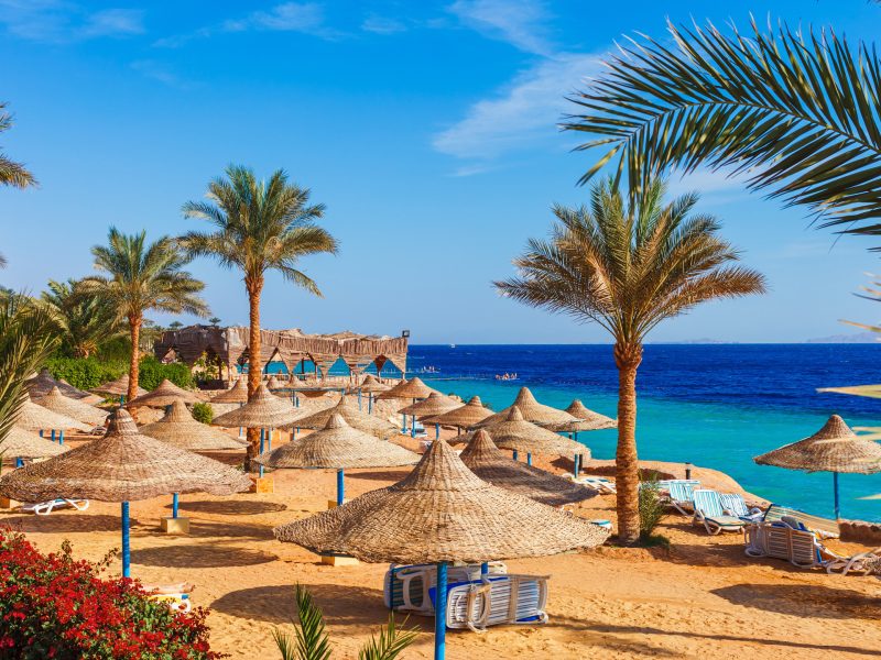 lTfIr50qBLHmAcv1DFLcWr1XnY4HV5ItDrFk2f1n