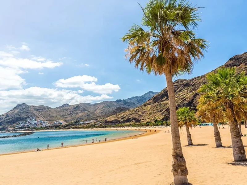 tenerife-beach-palm-trees